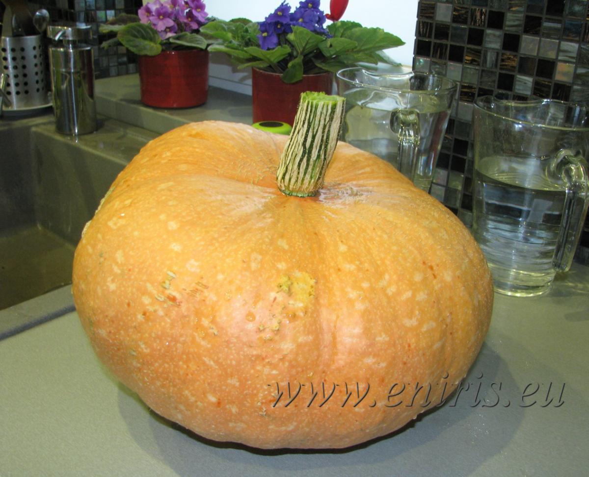 Kríženec z našej záhradky